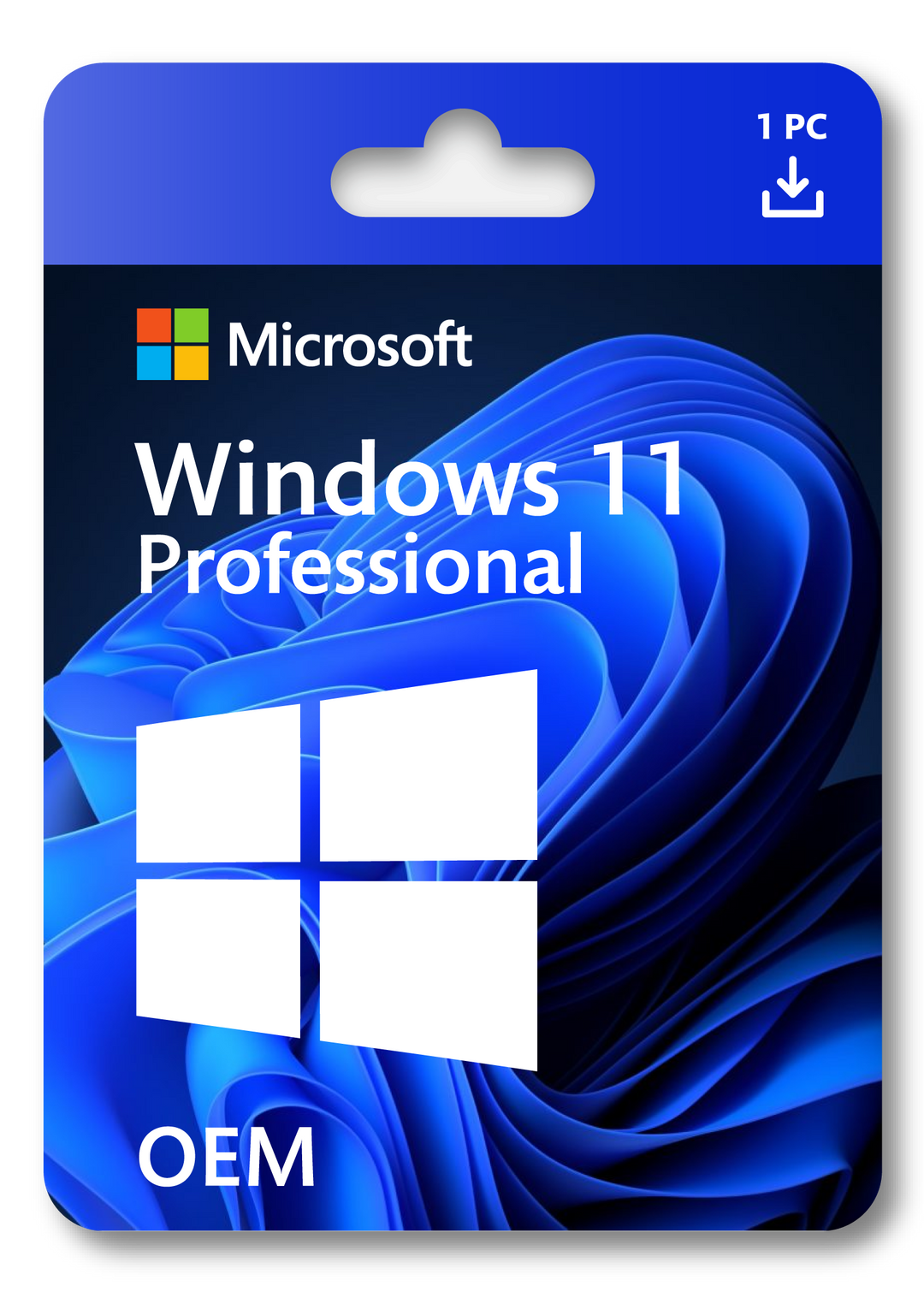 Windows 11 Pro